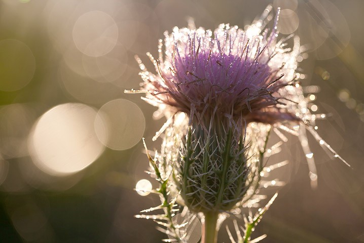 Impressionen Atelier Natur